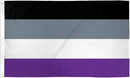 Asexual Flag