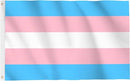 Transgender Flag