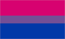 Q-Bisexual Flag