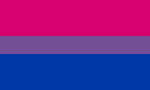 Q-Bisexual Flag