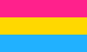 Q-Pansexual Flag