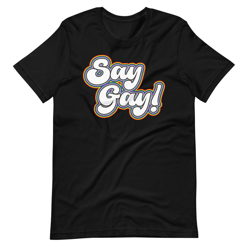 Say Gay 2024 T-shirt