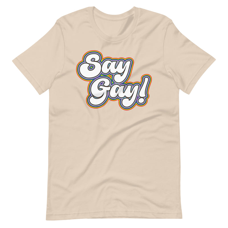 Say Gay 2024 T-shirt