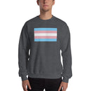 Trans Flag Crewneck