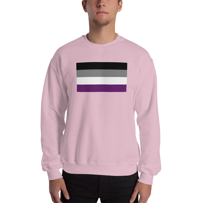 Asexual Flag Crewneck in Light Pink