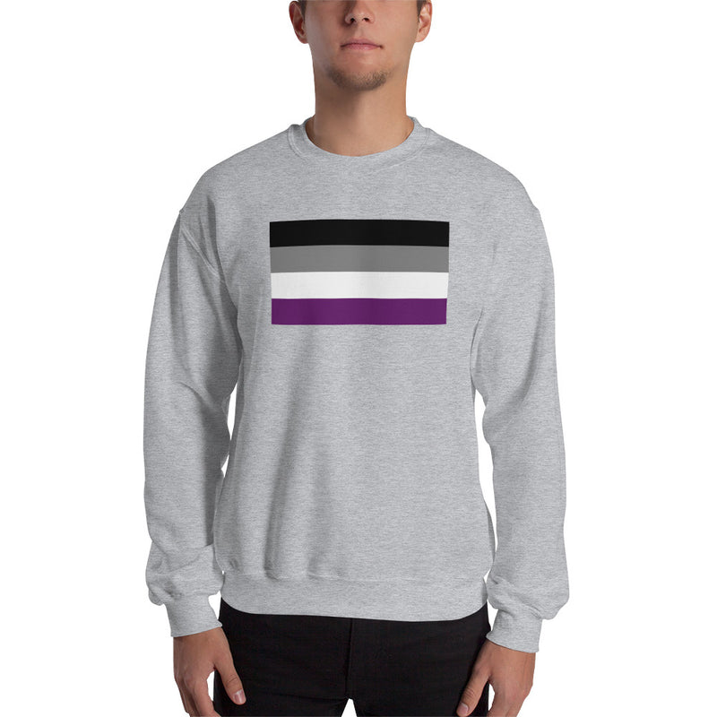 Asexual Flag Crewneck in Grey