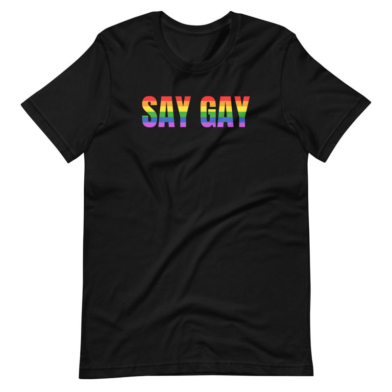 Say Gay Rainbow T-Shirt